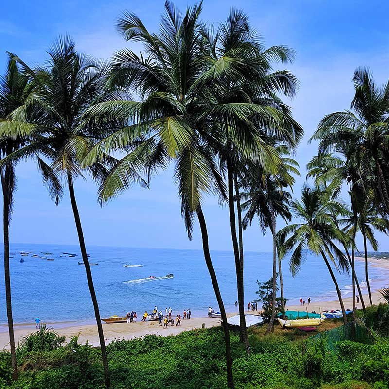 Amazing Goa