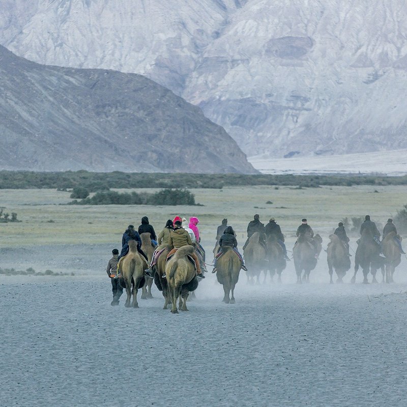 Ladakh-02