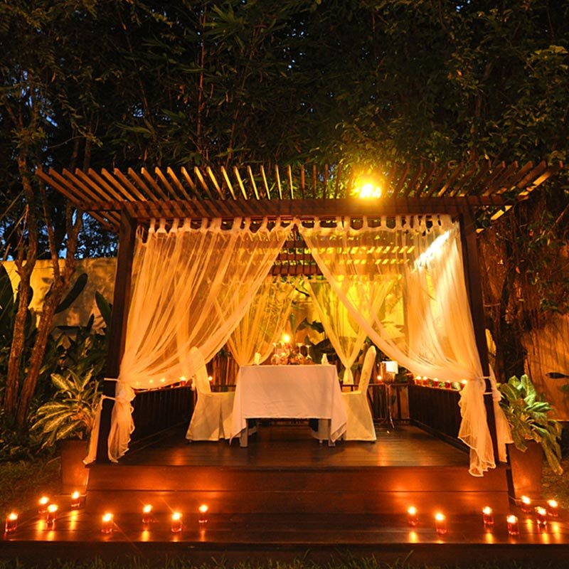 Romantic Dinner<br> in Elegant Restaurant</br>