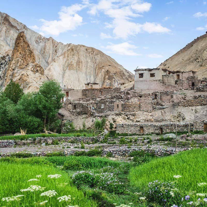 Markha-Valley-01