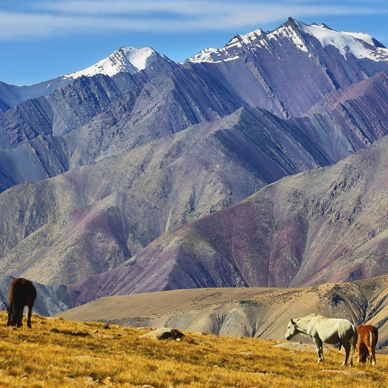 Markha-Valley-07