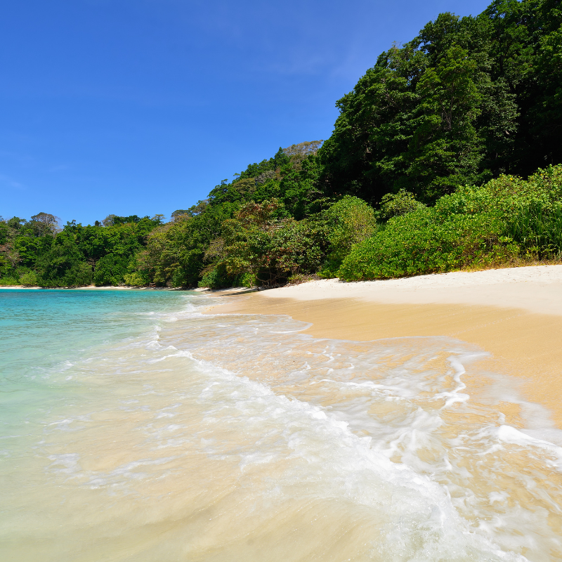 Amazing Andaman