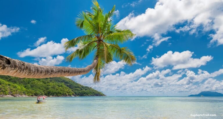 andaman tour 4nights 5days