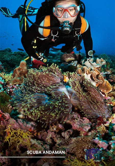Andaman Places 008